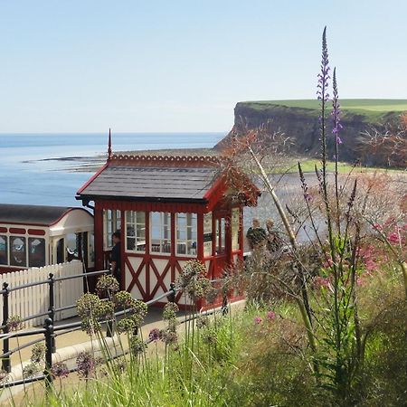 Saltburn Holidays Jasmine Cottage Saltburn Экстерьер фото